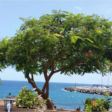 Appartement 327 - Edf Aguamarina - Vacation In The Coast Line Of Golf Del Sur San Miguel de Abona